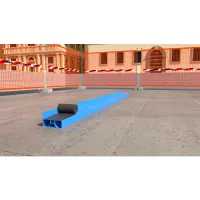 BI GUARNIZIONE EPDM  x PROFILO PSP60/100