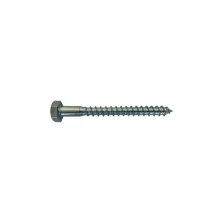 VITE MORDENTE Zn DIN 571 10 x  60 CE