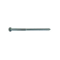 VITE MORDENTE Zn DIN 571 12 x 100