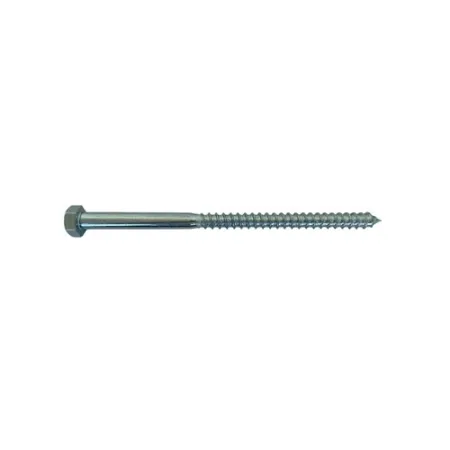 VITE MORDENTE Zn DIN 571 12 x 100
