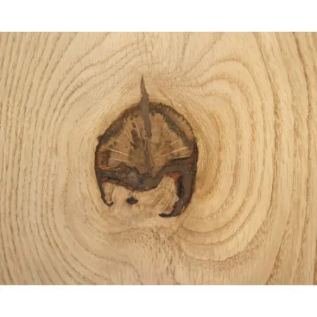 WOODREPAIR STICK AMBRA 10pz x 25cm WOODREPAIR STICK AMBRA 10pz x 25cm