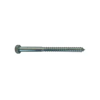 VITE MORDENTE Zn DIN 571 16 x 100